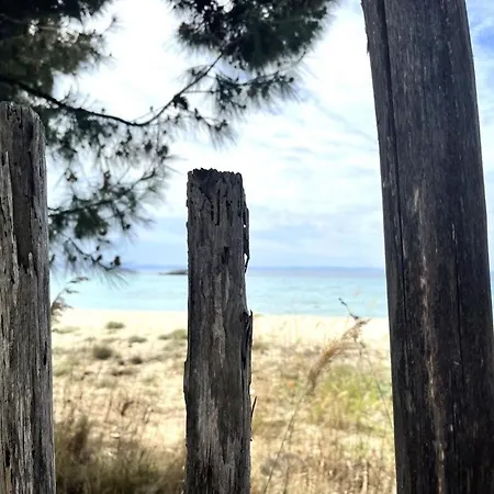 Spacious Maisonette On The Eu Blue Of In Sithonia, Greece * Kalogria (Sithonia)