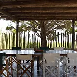 Spacious Maisonette On The Eu Blue Of In Sithonia, Greece Num1 * Kalogria (Sithonia)