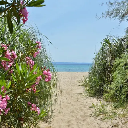 Spacious Maisonette On The Eu Blue Of In Sithonia, Greece Num1 * Kalogria (Sithonia)